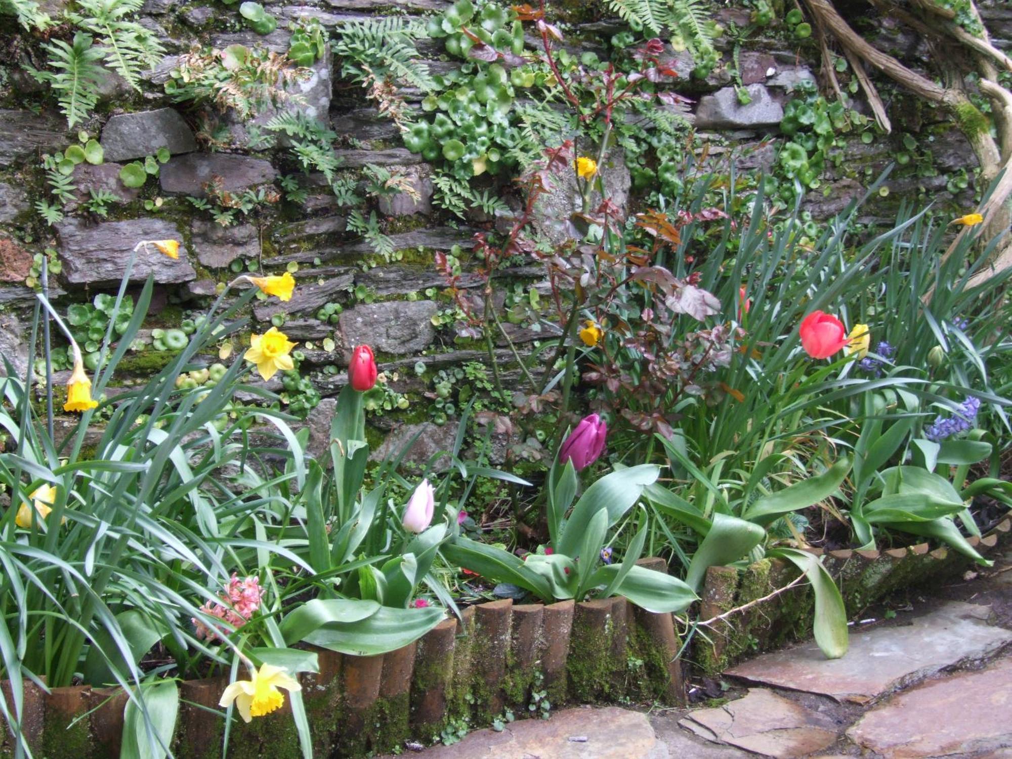 Inglenook Villa Kinsale Buitenkant foto